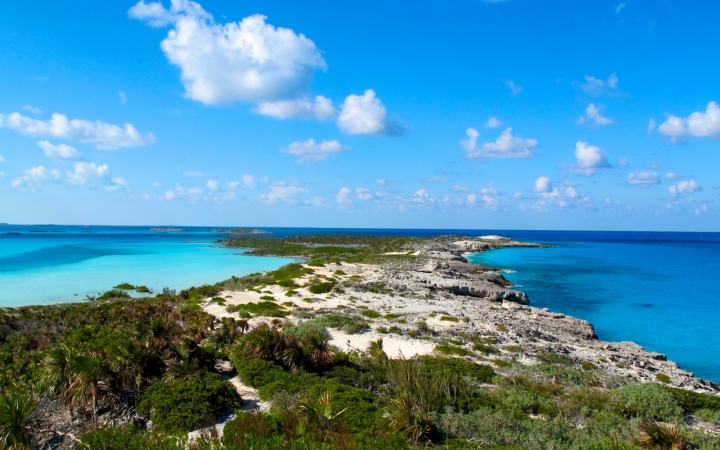 gap year semester in the bahamas
